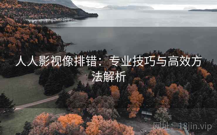 人人影视像排错：专业技巧与高效方法解析