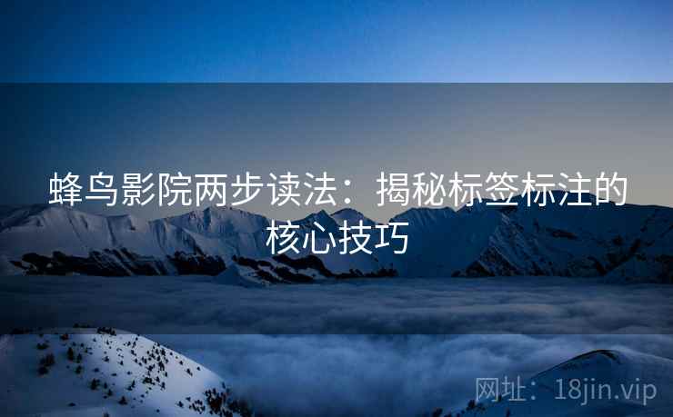 蜂鸟影院两步读法:揭秘标签标注的核心技巧 蜂鸟影院两步读法:揭秘标签标注的核心技巧