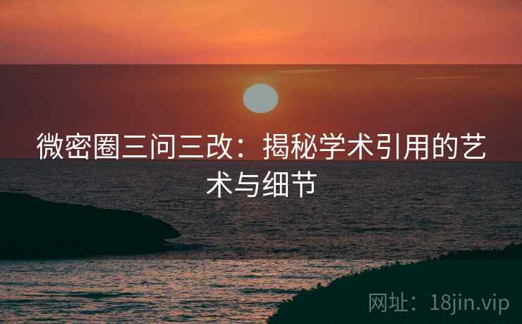 微密圈三问三改：揭秘学术引用的艺术与细节